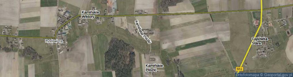 Zdjęcie satelitarne Kamińskie Pliszki ul.